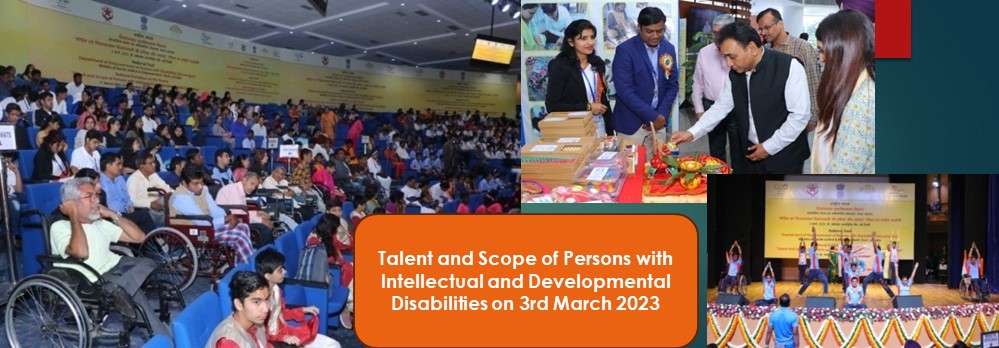 Summit Inclusive India